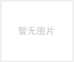 上海川诺防爆断路器BLK51